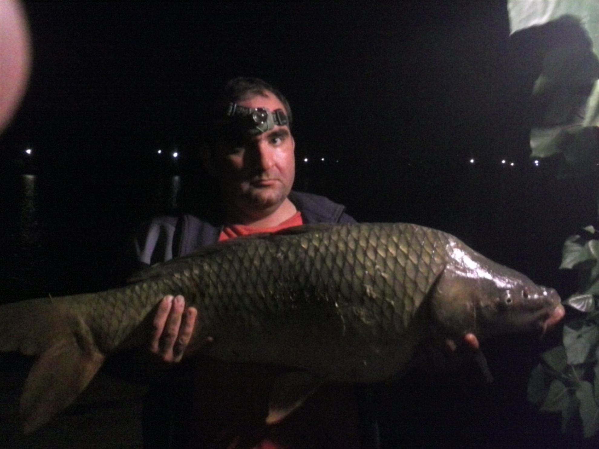 Pleasa 2013 - crap comun 11,6 kg